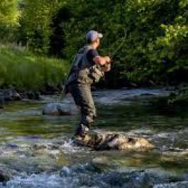 pêche gave de Pau 1km du camping