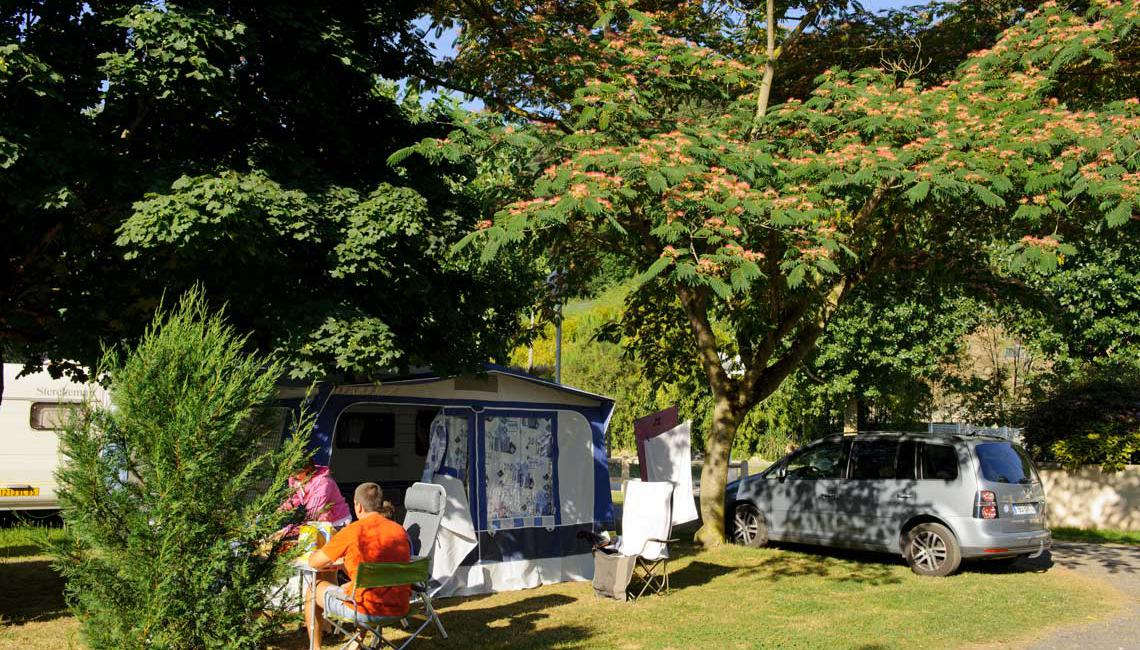 Spacious and shaded pitches